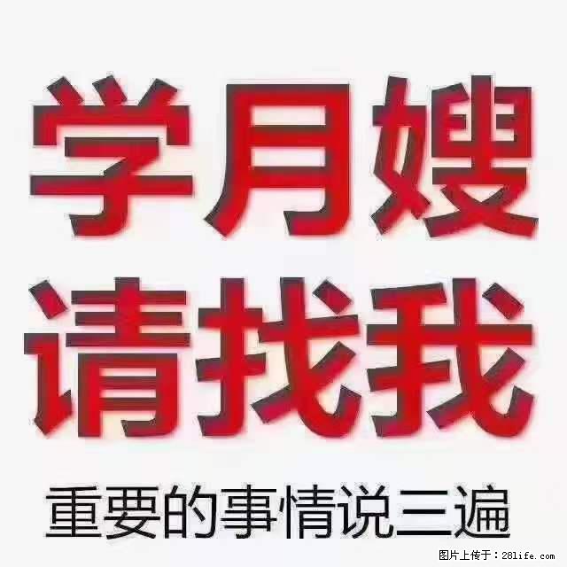 为什么要学习月嫂，育婴师？ - 新手上路 - 台湾生活社区 - 台湾28生活网 tw.28life.net