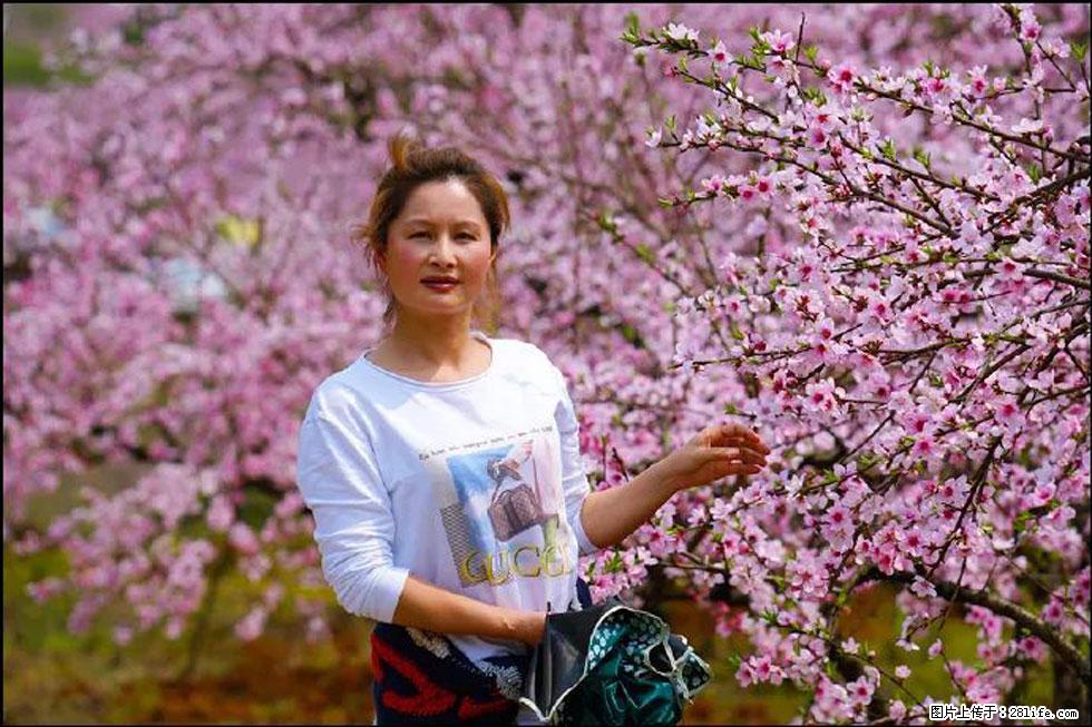 【春天，广西桂林灌阳县向您发出邀请！】官庄村有个醉美的桃花园 - 游山玩水 - 台湾生活社区 - 台湾28生活网 tw.28life.net