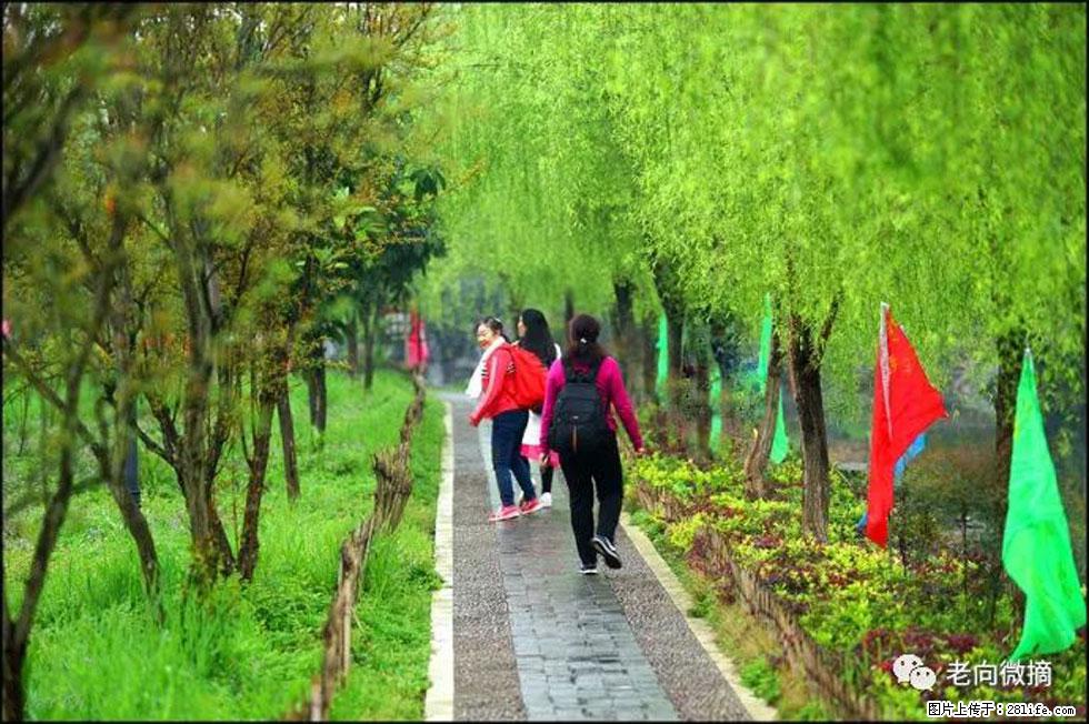 【春天，广西桂林灌阳县向您发出邀请！】江口老街又逢春 - 游山玩水 - 台湾生活社区 - 台湾28生活网 tw.28life.net