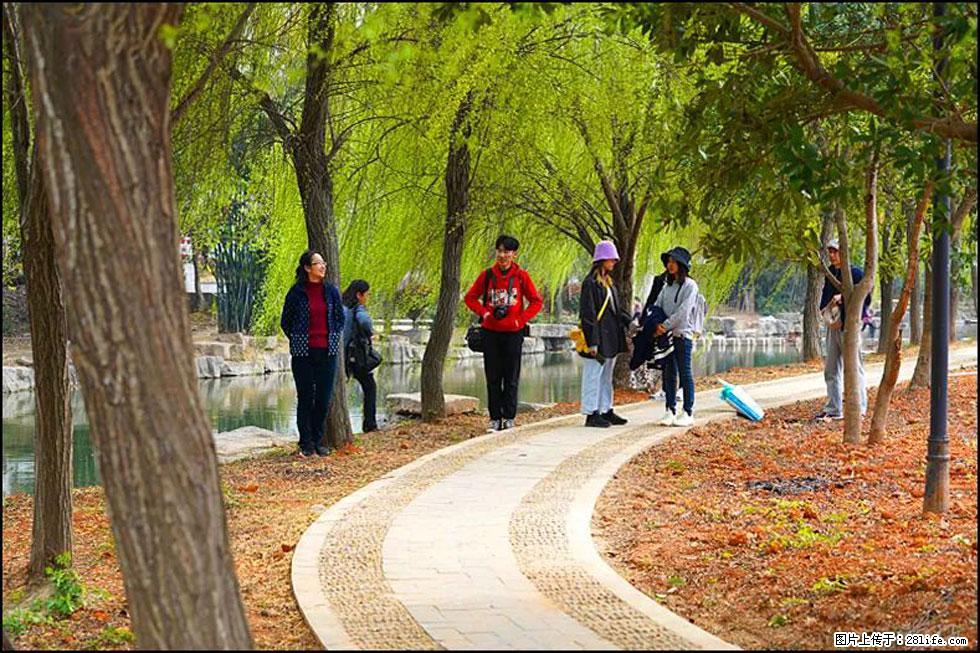 【春天，广西桂林灌阳县向您发出邀请！】江口老街又逢春 - 游山玩水 - 台湾生活社区 - 台湾28生活网 tw.28life.net