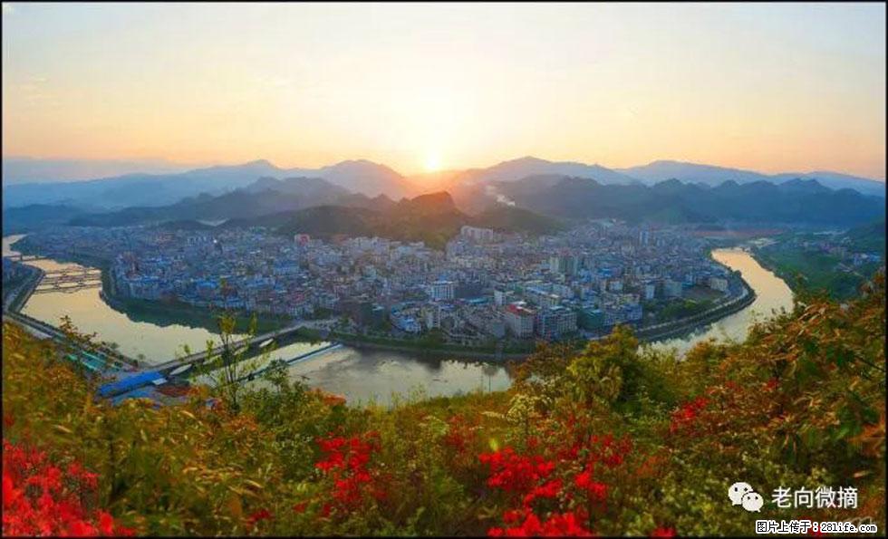 【春天，广西桂林灌阳县向您发出邀请！】登麒麟山，相约映山红 - 游山玩水 - 台湾生活社区 - 台湾28生活网 tw.28life.net