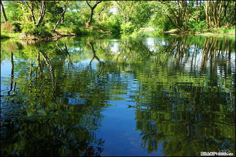 【春天，广西桂林灌阳县向您发出邀请！】熊家寨湿地公园 - 游山玩水 - 台湾生活社区 - 台湾28生活网 tw.28life.net