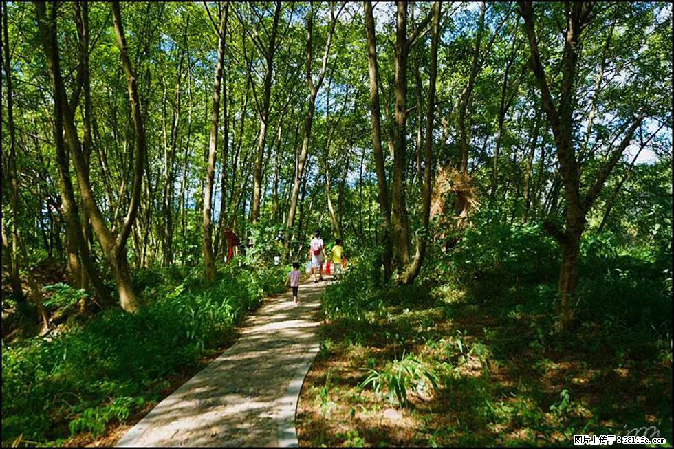 【春天，广西桂林灌阳县向您发出邀请！】熊家寨湿地公园 - 游山玩水 - 台湾生活社区 - 台湾28生活网 tw.28life.net