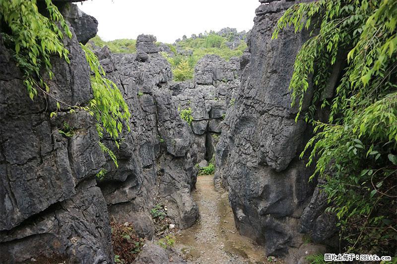 桂林旅游名城景点：灌阳文市石林 - 游山玩水 - 台湾生活社区 - 台湾28生活网 tw.28life.net