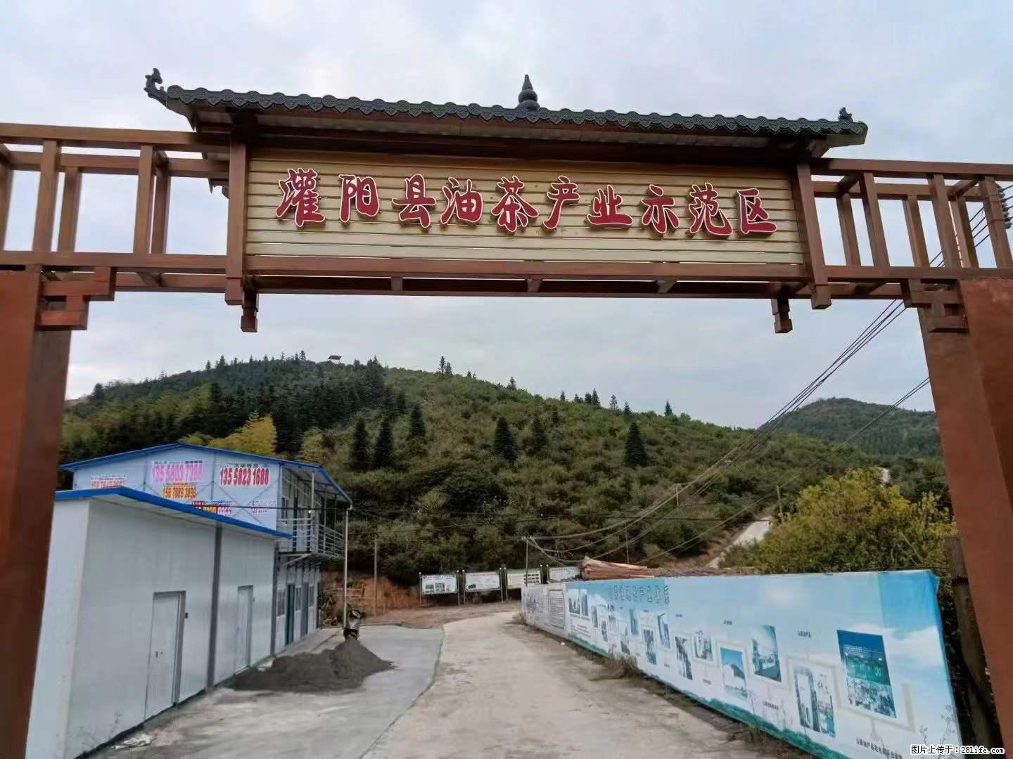 【灌阳县油茶产业示范区】一个有着充实的精神生活的人，对待身外之物自会有一种淡泊的态度 - 美食天地 - 台湾生活社区 - 台湾28生活网 tw.28life.net