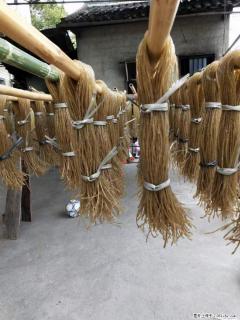 【灌阳正宗红薯粉】美女家里自己做的，干净卫生，假一赔十，价格合理，抢购电话：13737312895 - 台湾28生活网 tw.28life.net