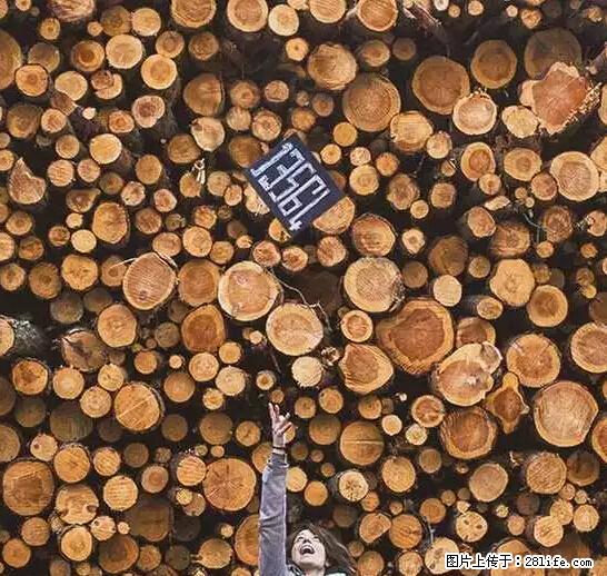 辞掉工作周游世界？现在他们在洗厕所…… - 游山玩水 - 台湾生活社区 - 台湾28生活网 tw.28life.net