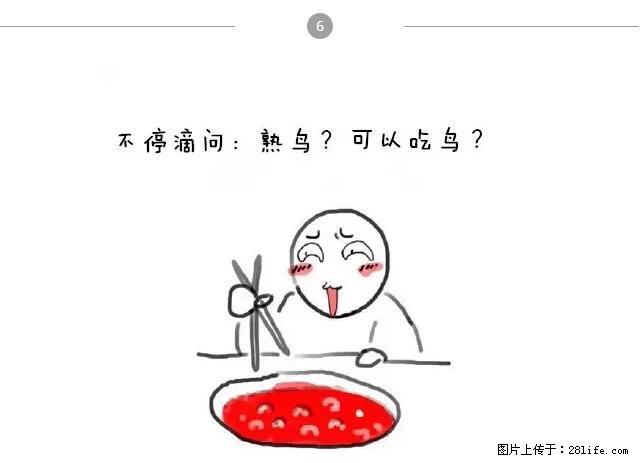千万不要和这9种哈卵一起吃火锅！ - 美食天地 - 台湾生活社区 - 台湾28生活网 tw.28life.net