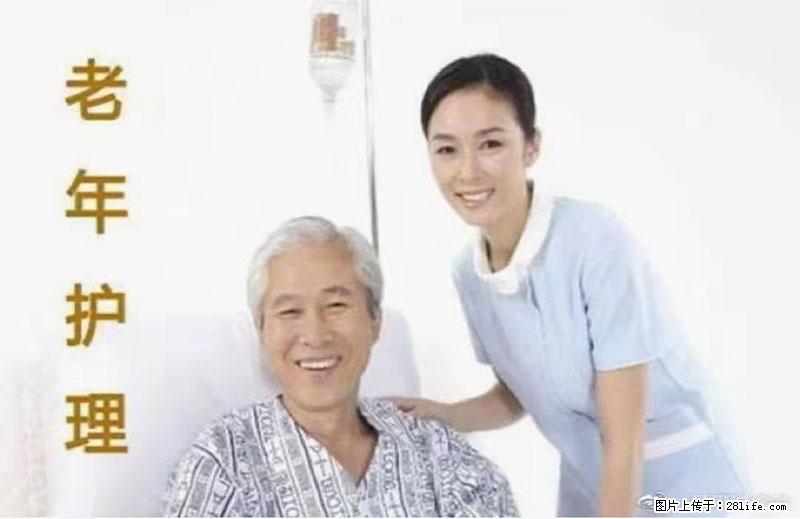 上海国企养老院，星级酒店环境，招聘养老护工 - 职场交流 - 台湾生活社区 - 台湾28生活网 tw.28life.net