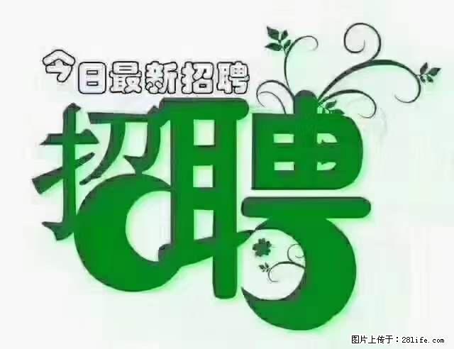 【招聘摄像师】待遇：试用期6000元/月，转正7000元/月+五险一金+餐补+节日福利+奖金 - 其他招聘信息 - 招聘求职 - 台湾分类信息 - 台湾28生活网 tw.28life.net
