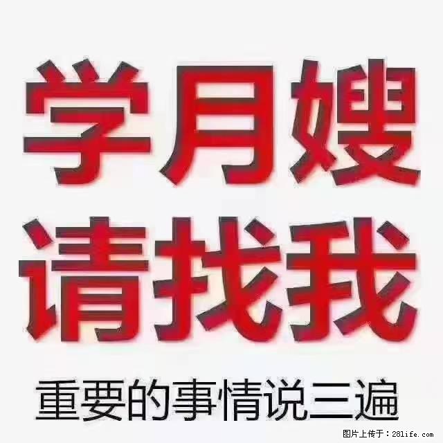 【招聘】月嫂，上海徐汇区 - 职场交流 - 台湾生活社区 - 台湾28生活网 tw.28life.net