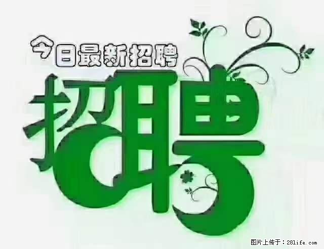 上海隔离酒店招人：55岁以下 男女不限 - 职场交流 - 台湾生活社区 - 台湾28生活网 tw.28life.net