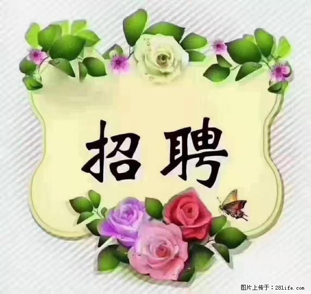 【招聘】住家育儿嫂，上户日期：4月4日，工作地址：上海 黄浦区 - 职场交流 - 台湾生活社区 - 台湾28生活网 tw.28life.net