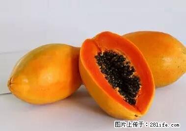 晕车、脚气、牙齿变黄、皮肤粗糙？学会这些三分钟搞定！ - 台湾生活资讯 - 台湾28生活网 tw.28life.net