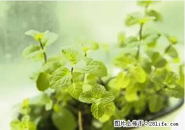 晕车、脚气、牙齿变黄、皮肤粗糙？学会这些三分钟搞定！ - 台湾生活资讯 - 台湾28生活网 tw.28life.net