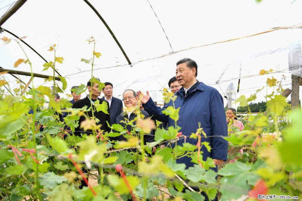 习近平赴广西考察调研 - 台湾生活资讯 - 台湾28生活网 tw.28life.net