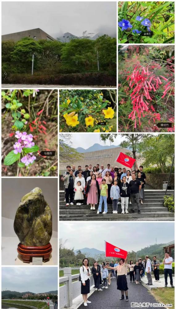 “粤灌文化 美好生活”油茶文化主题活动在广东深圳成功举办 - 台湾生活资讯 - 台湾28生活网 tw.28life.net