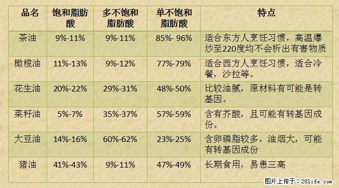 揭秘茶油的5大核心营养成分！被称为人体健康的“守护盾”！ - 台湾生活资讯 - 台湾28生活网 tw.28life.net