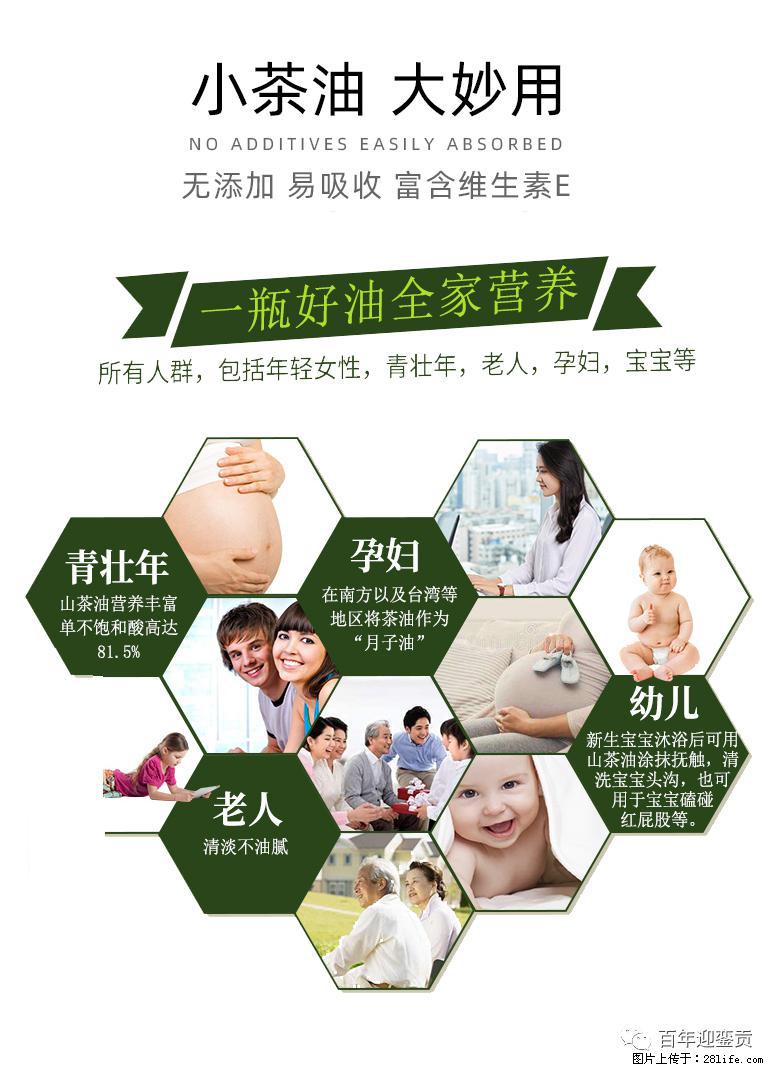 世界没有真相，只有认知，最好的食用油是中国的山茶油！ - 台湾生活资讯 - 台湾28生活网 tw.28life.net