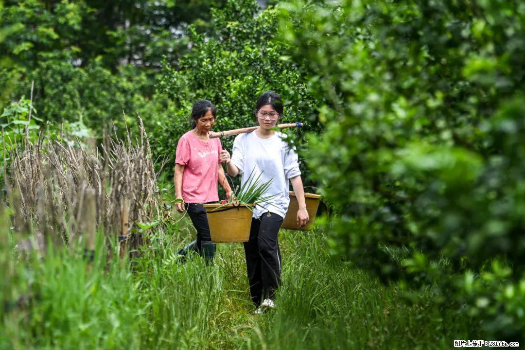 全网追的“扁担女孩”，找了一份暑假工，时薪12元 - 台湾生活资讯 - 台湾28生活网 tw.28life.net
