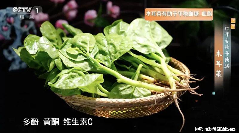 比牛奶补钙还厉害！凉血解毒、稳血糖...这菜冬天必吃，很多人却当草 - 台湾生活资讯 - 台湾28生活网 tw.28life.net