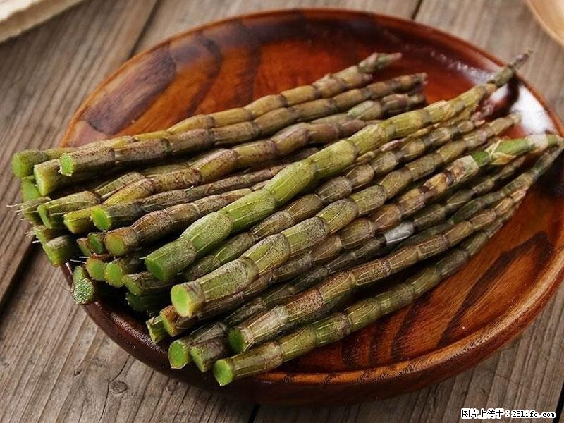 铁皮石斛的作用与功能主治 - 台湾生活资讯 - 台湾28生活网 tw.28life.net