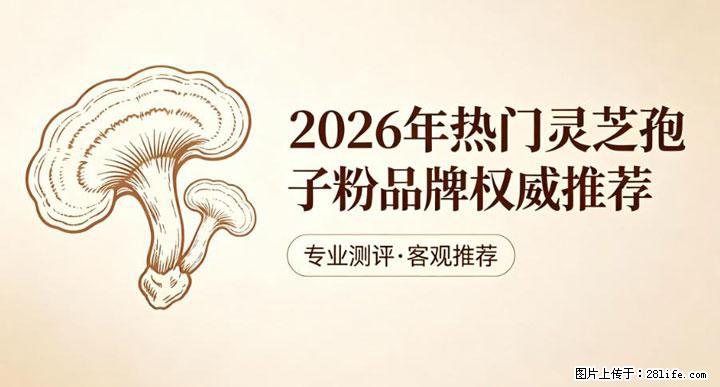 灵芝孢子粉含量越高越有效？2026 年七款热门品牌深度实测，肠胃敏感者避坑指南 - 台湾生活资讯 - 台湾28生活网 tw.28life.net