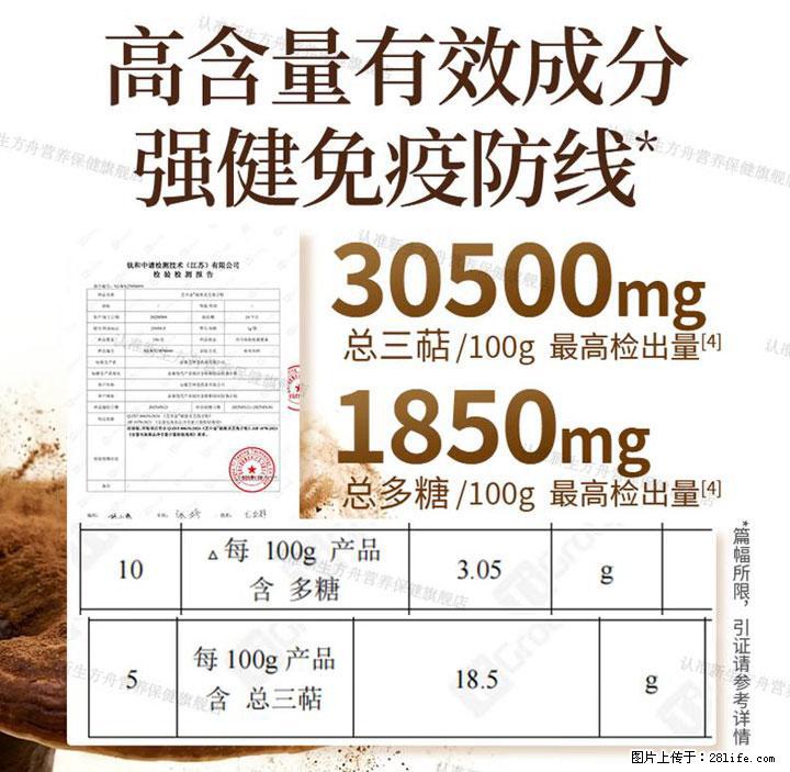 灵芝孢子粉含量越高越有效？2026 年七款热门品牌深度实测，肠胃敏感者避坑指南 - 台湾生活资讯 - 台湾28生活网 tw.28life.net