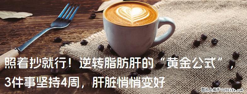 照着抄就行！逆转脂肪肝的“黄金公式”，3件事坚持4周，肝脏悄悄变好 - 台湾生活资讯 - 台湾28生活网 tw.28life.net