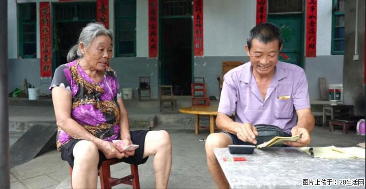 【乡村振兴】文市蜂糖李、黄金奈李迎丰产上市季 甜蜜产业助振兴 - 台湾生活资讯 - 台湾28生活网 tw.28life.net